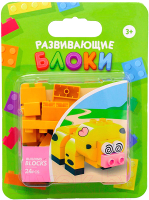 Конструктор Funky Toys Свинка / FT0822551 - фото