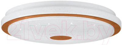 Потолочный светильник Eglo Lanciano 1 900598 - фото