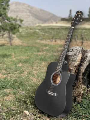 Акустическая гитара ROKSO FT-221-BK