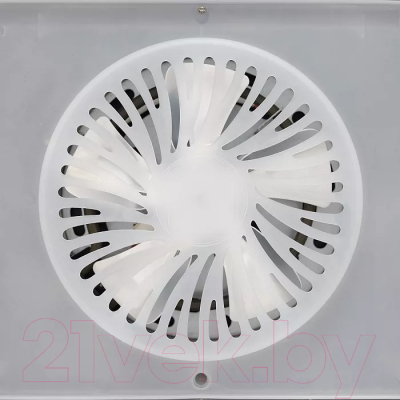 Сушилка для овощей и фруктов Timberk T-PFD42149