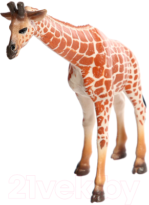 Набор фигурок игровых Зоомир Звери Африки 3Y506002 / 5155892