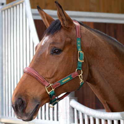 Недоуздок для лошади Shires Velociti Lusso Premium / 4153/GREEN/COB