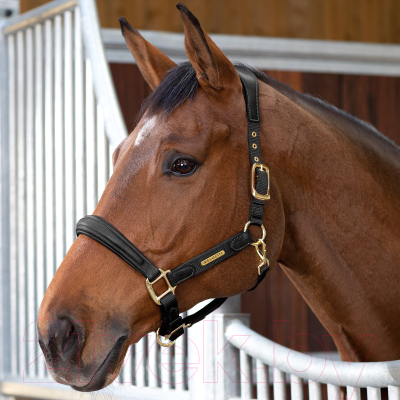 Недоуздок для лошади Shires Velociti Lusso Premium / 4153/BLACK/COB
