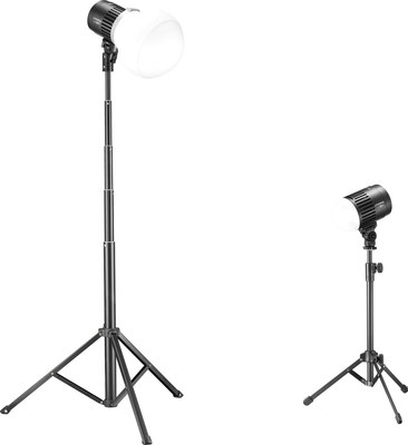 Комплект оборудования для фотостудии Godox Litemons LC30D-K2 / 30101 - фото