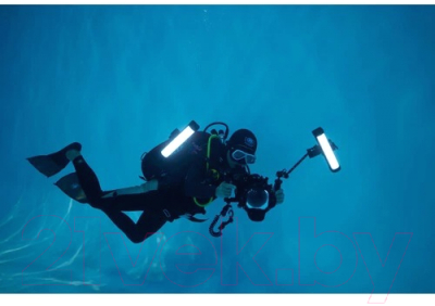 Осветитель студийный GreenBean Dive Light WT25D / 30437