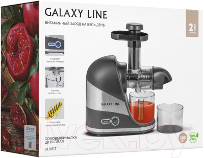 Соковыжималка электрическая Galaxy GL 0817
