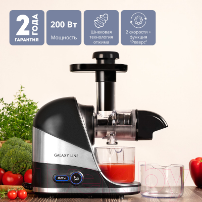 Соковыжималка электрическая Galaxy GL 0817