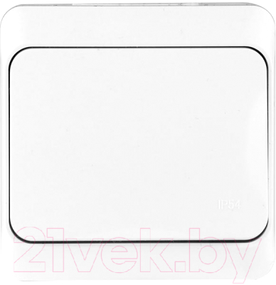 Выключатель Tokov Electric TKE-NX-V1-C01-IP54 - фото