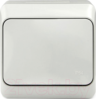 Выключатель Tokov Electric TKE-NX-V1-C06-IP54 - фото