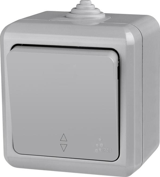 Выключатель Tokov Electric TKL-DT-P1-C06-IP54 - фото