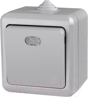 Выключатель Tokov Electric TKL-DT-V1I-C06-IP54 - фото