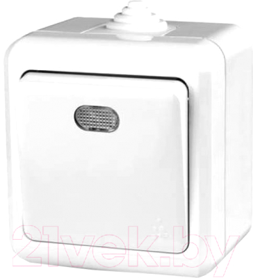 Выключатель Tokov Electric TKL-DT-V1I-C01-IP54 - фото