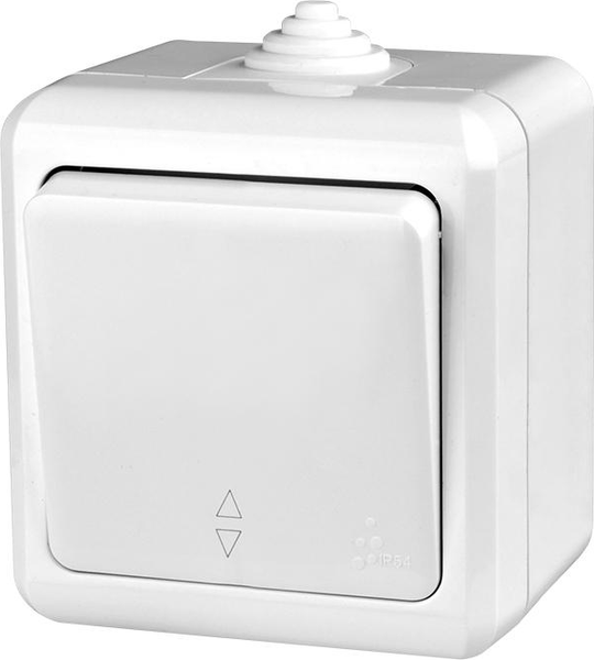 Выключатель Tokov Electric TKL-DT-P1-C01-IP54 - фото