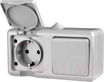 Блок выключатель+розетка Tokov Electric ОП Dita / TKL-DT-V1RZ-C06-IP54 - фото