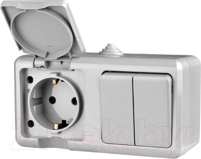 Блок выключатель+розетка Tokov Electric ОП Dita / TKL-DT-V2RZ-C06-IP54 - фото