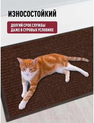 Коврик грязезащитный ComeForte Floor Mat Стандарт 50x80