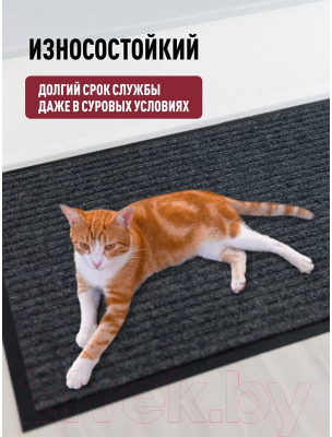 Коврик грязезащитный ComeForte Floor Mat Стандарт 50x80