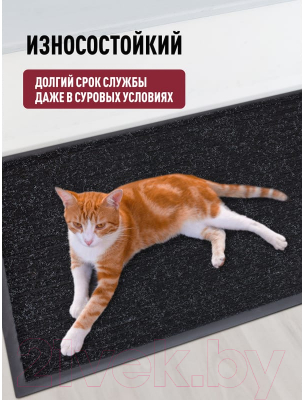 Коврик грязезащитный ComeForte Floor Mat Стандарт 50x80