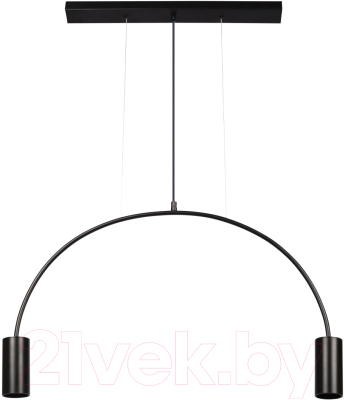 Потолочный светильник Loftit Volta 5044-2 - фото