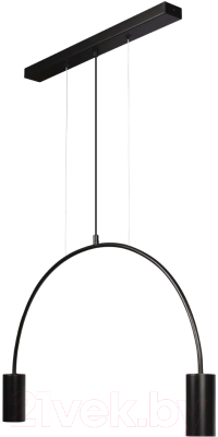 Потолочный светильник Loftit Volta 5044-2