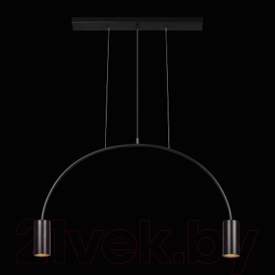 Потолочный светильник Loftit Volta 5044-2