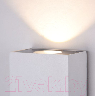 Светильник уличный Maytoni Times Square O581WL-L6W