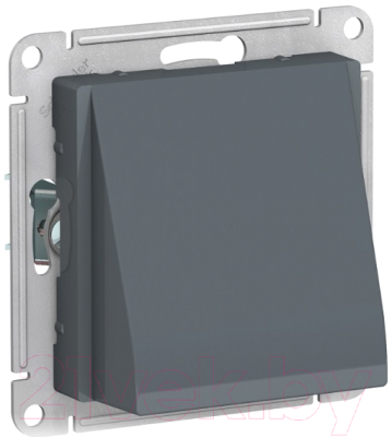 Вывод кабеля Systeme (Schneider) Electric AtlasDesign ATN000799 - фото