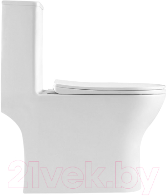 Унитаз напольный BelBagno Lounge BB8618CPR-MN/SC