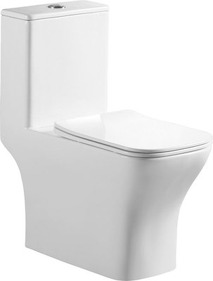 Унитаз напольный BelBagno Neon BB8617CPR-MN/SC - фото