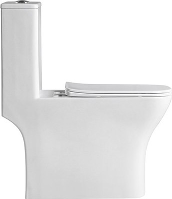 Унитаз напольный BelBagno Neon BB8617CPR-MN/SC