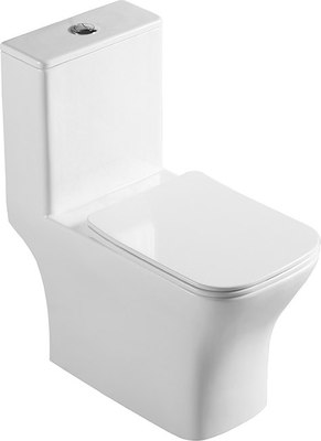 Унитаз напольный BelBagno Neon BB8617CPR-MN/SC