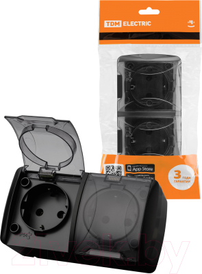 Розетка TDM Селигер / SQ1818-0309