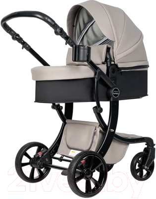Детская универсальная коляска Aimile Pro - фото