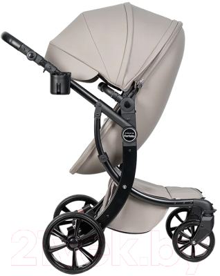 Детская универсальная коляска Aimile Pro