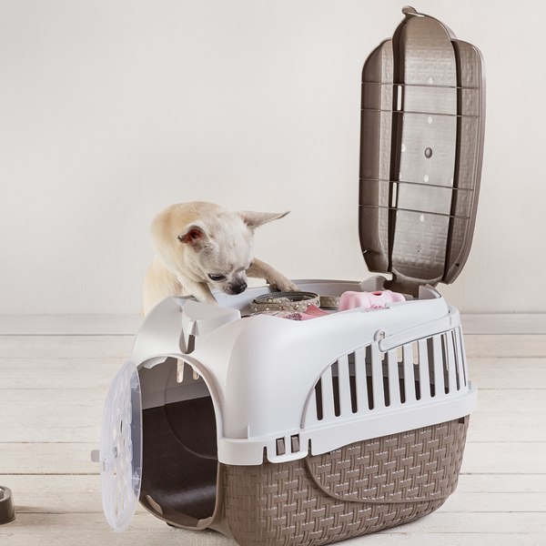 Переноска для животных Bama Pet Kennel Tour Maxi / 19025