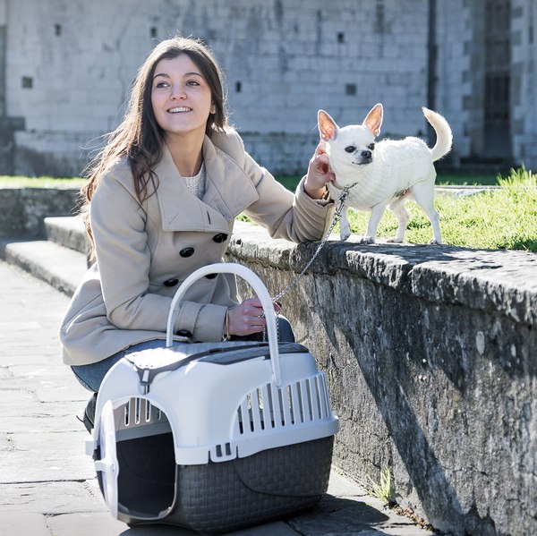 Переноска для животных Bama Pet Kennel Tour Maxi / 19025