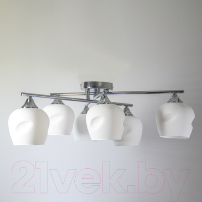 Люстра Элетех 21271-7/6 НПБ 01-6х60-118 Е27 / 1005405264 (хром)