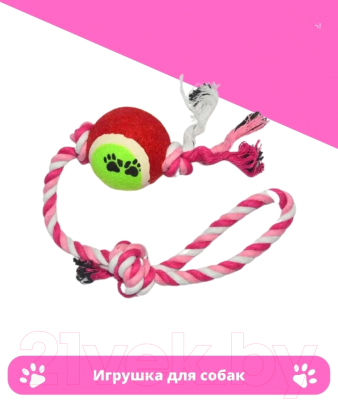 Игрушка для собак Ekia Мяч с канатом TYB17