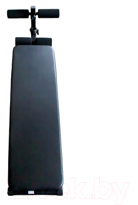 Скамья для пресса DFC FH10015 