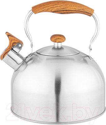 Чайник со свистком Agness 937-903 - фото