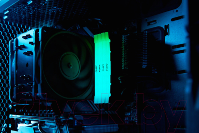 Оперативная память DDR4 Kingston KF436C16RB12AK2/32