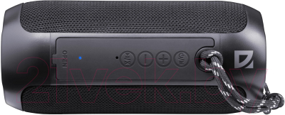 Портативная колонка Defender Enjoy S100 / 65101 (черный)