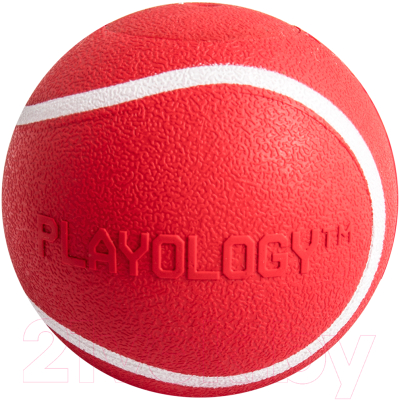 Игрушка для собак Playology Squeaky Chew Ball / P33289 - фото