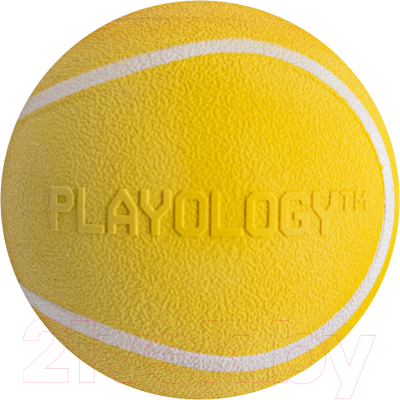 Игрушка для собак Playology Squeaky Chew Ball / P33334 - фото