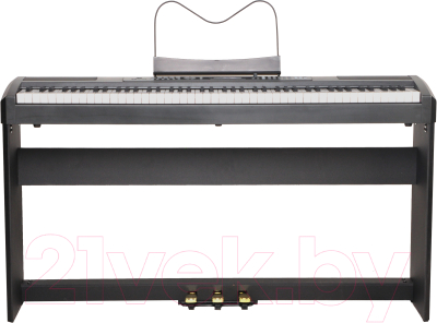Цифровое фортепиано Ringway RP-35 B