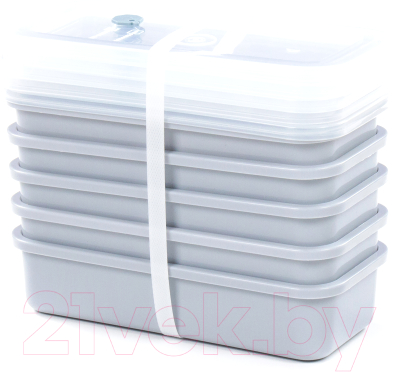 Набор контейнеров Полесье №22 750мл с крышками / 73683 - фото