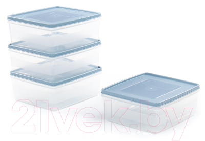 Набор контейнеров Полесье №13 2л с крышками / 73706