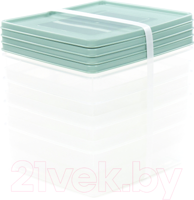 Набор контейнеров Полесье №13 2л с крышками / 73713 - фото