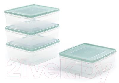 Набор контейнеров Полесье №13 2л с крышками / 73713