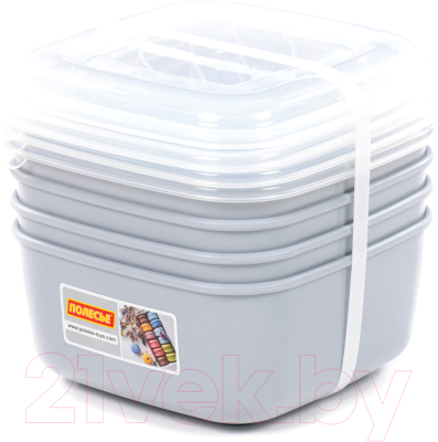 Набор контейнеров Полесье №38 2.4л с крышками / 73751 - фото